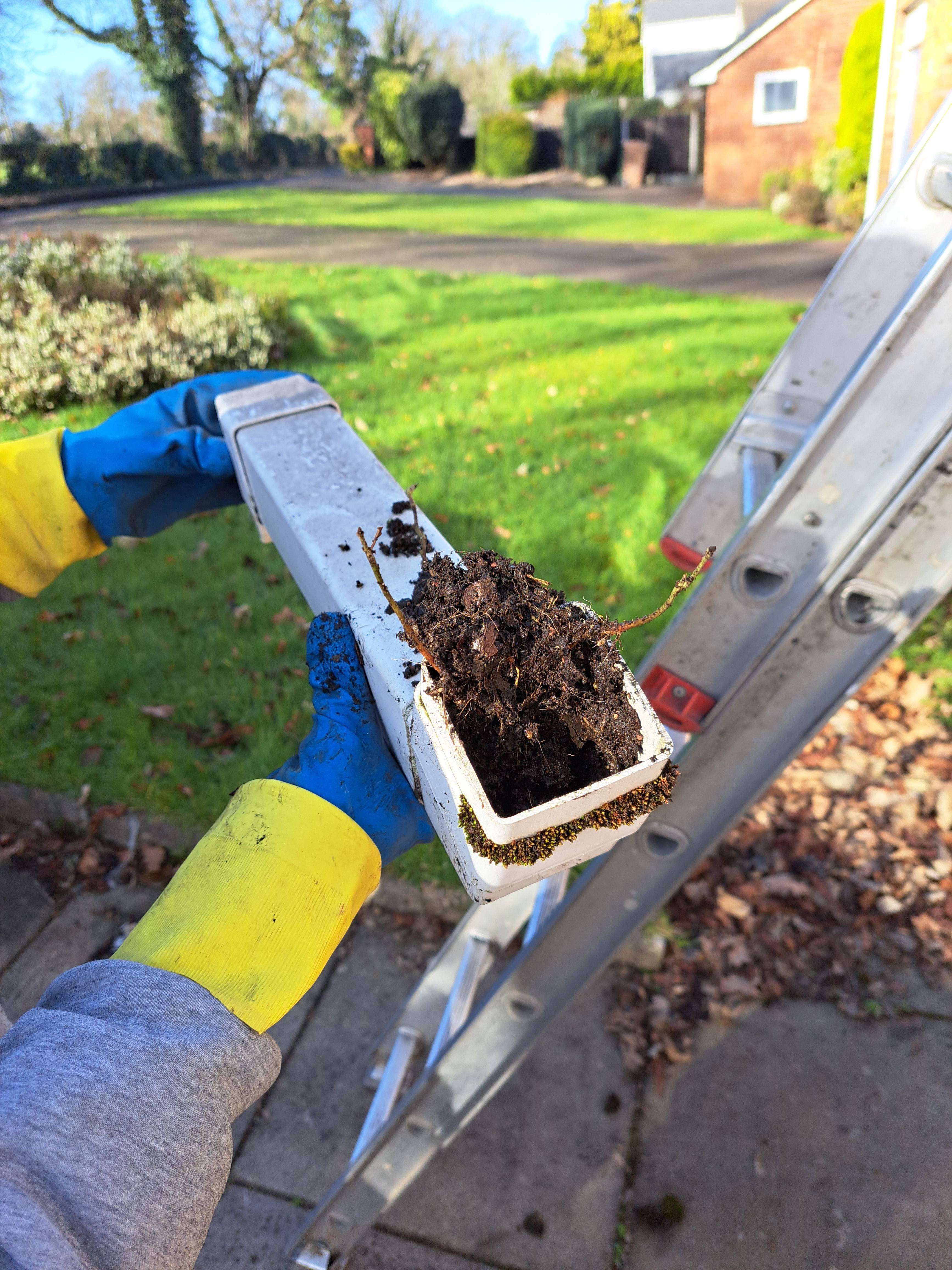 Is this  the problem  of your  damp issues blocked drainpipes